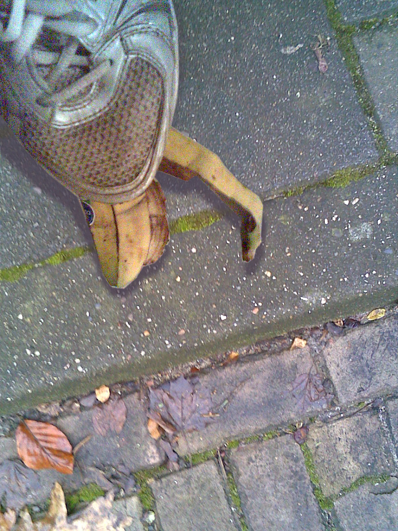 Banana Shoe